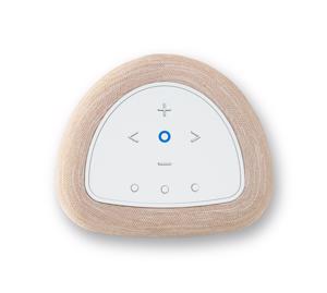 Bluesound Pulse Flex P130